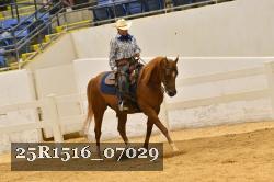 25R1516_07029 thumbnail