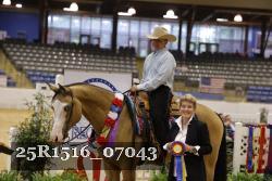 25R1516_07043 thumbnail