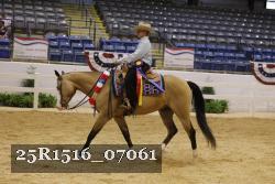 25R1516_07061 thumbnail