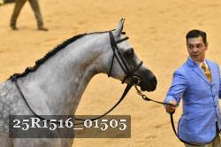 25R1516_01505 thumbnail