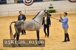 25R1516_01506 thumbnail