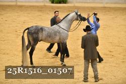 25R1516_01507 thumbnail