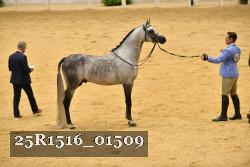 25R1516_01509 thumbnail