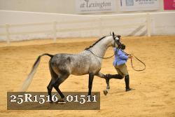 25R1516_01511 thumbnail