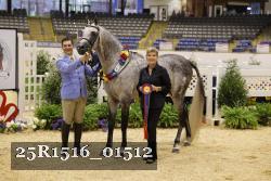 25R1516_01512 thumbnail