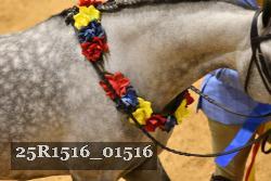 25R1516_01516 thumbnail