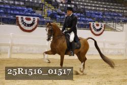 25R1516_01517 thumbnail