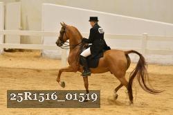 25R1516_01519 thumbnail