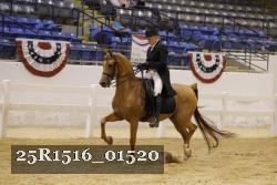 25R1516_01520 thumbnail