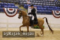 25R1516_01521 thumbnail