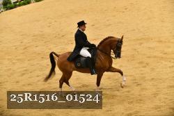 25R1516_01524 thumbnail