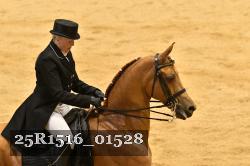 25R1516_01528 thumbnail