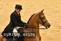 25R1516_01529 thumbnail