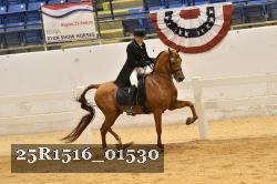 25R1516_01530 thumbnail