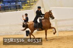 25R1516_01531 thumbnail