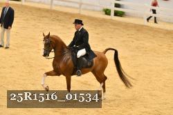 25R1516_01534 thumbnail