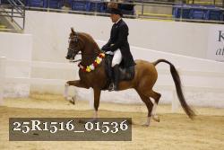 25R1516_01536 thumbnail