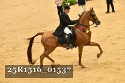25R1516_01537 thumbnail