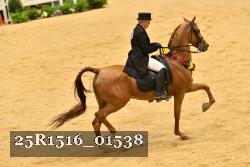 25R1516_01538 thumbnail