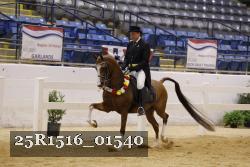 25R1516_01540 thumbnail