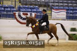25R1516_01541 thumbnail