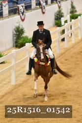 25R1516_01542 thumbnail