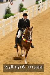 25R1516_01544 thumbnail
