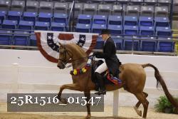 25R1516_01547 thumbnail