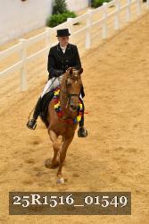 25R1516_01549 thumbnail