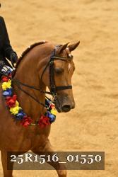 25R1516_01550 thumbnail