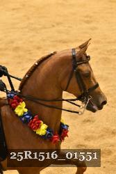 25R1516_01551 thumbnail