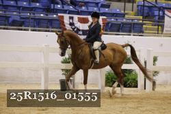 25R1516_01555 thumbnail