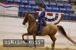 25R1516_01557 thumbnail