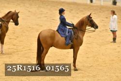 25R1516_01565 thumbnail
