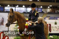 25R1516_01568 thumbnail