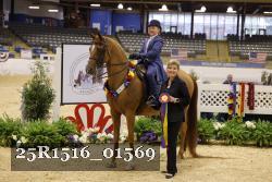 25R1516_01569 thumbnail