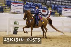 25R1516_01575 thumbnail