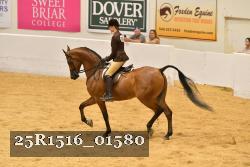 25R1516_01580 thumbnail