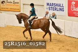 25R1516_01582 thumbnail
