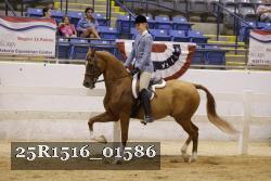 25R1516_01586 thumbnail