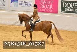 25R1516_01587 thumbnail