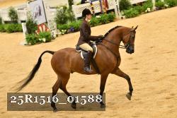 25R1516_01588 thumbnail