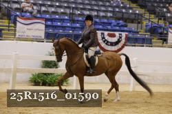 25R1516_01590 thumbnail