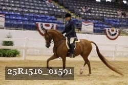 25R1516_01591 thumbnail
