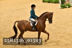 25R1516_01593 thumbnail