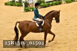 25R1516_01594 thumbnail