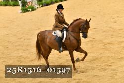 25R1516_01597 thumbnail