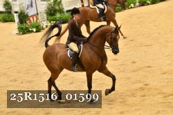 25R1516_01599 thumbnail