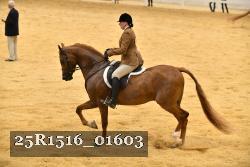 25R1516_01603 thumbnail