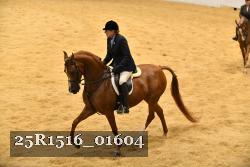 25R1516_01604 thumbnail